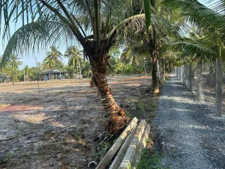 Đất vườn 3,313m2 giá tốt 380tr/công. mặt tiền dài 114m rộng rãi tại tân phú đông, tiền giang