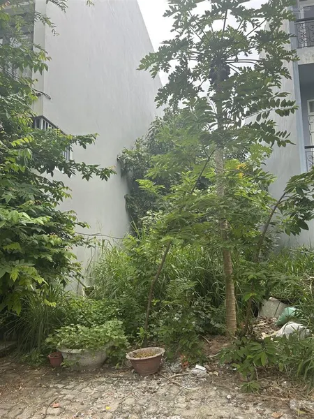 Sụp hầm mt dương đình nghệ đường 7.5m thông ra biển 100m2, chỉ nhỉnh 14 tỷ
