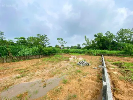 Bán đất yên bài ba vì giá 4,2 tỷ 550m (150m thổ cư) mặt tiền 13,5m, ô tô vào tận nơi