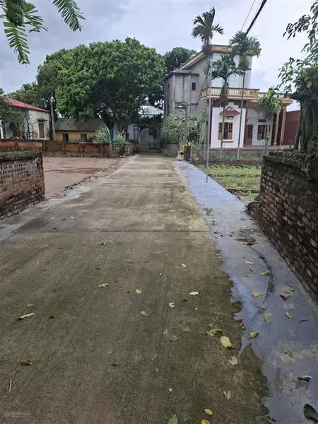 Bán đất nhất trai lương tài dt 106m2 mt 5m đường trước đất 6m ô tô ra vào. dân cư đông gần chợ