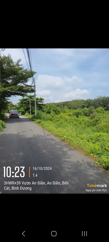 Bán đất