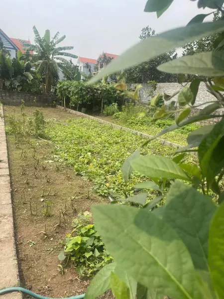 BÁN ĐẤT MẶT ĐƯỜNG - Ô TÔ TRÁNH - NGŨ HIỆP - THANH TRÌ
