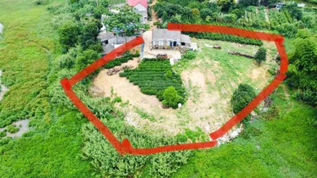 Khám phá cơ hội đầu tư độc đáo lô đất 1440m2 mặt hồ cẩm quỳ, ba vì giá 3,1 tỷ