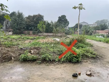 Chính chủ cần bán gấp lô góc ba mặt thoáng tại trung tâm khu đấu giá chi đông, lệ chi, gia lâm