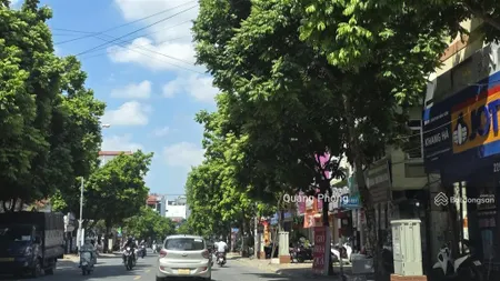 Bán 45m đất lô góc phố ngô xuân quảng trâu quy gia lâm