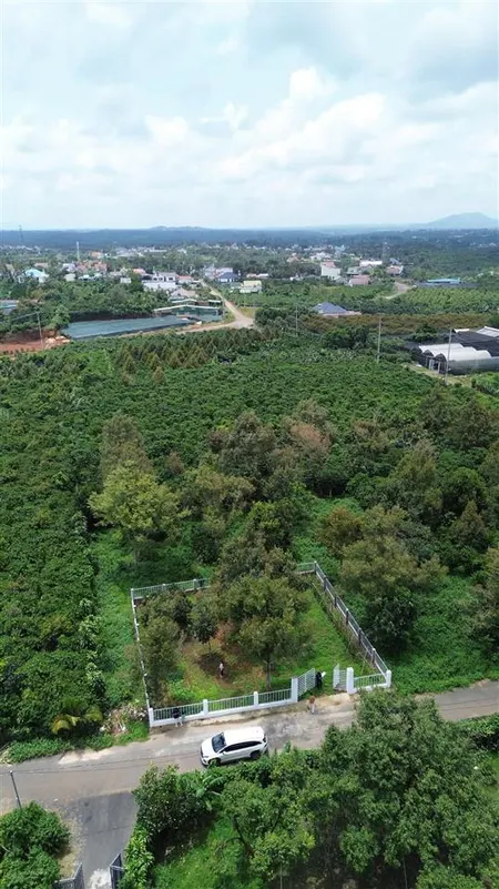Bán đất bảo lộc dt 437m2 ngang 20m sẵn 299m2 thổ cư đường trịnh hoài đức, phường b'lao, tp bảo lộc