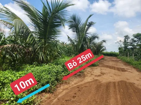 Bán đất 500.2m² ngang 5m giá 340 triệu Xã Ea Ktur