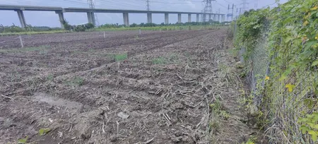 Bán đất 1100m² ngang 19m giá 3.5 tỷ Xã Đại Phước