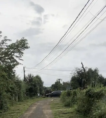 🌳 1hetta đất phủ hồng cách sân bay 18km