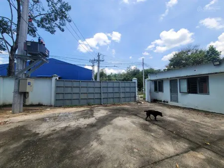 Bán xưởng dt đất 1.770 m2, dt xưởng 1100m2 xây kiên cố thuận tiện làm kho sản xuất. việt
