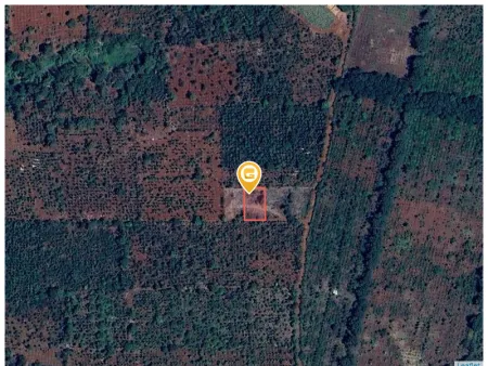 Bán đất 621.9m² ngang 20m giá 399 triệu Xã Quảng Phú