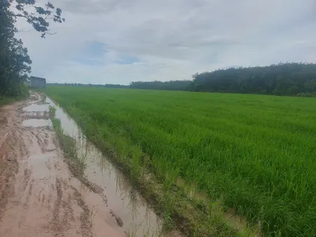 Bán đất 160000m² ngang 120m giá 18.4 tỷ Xã Ninh Điền