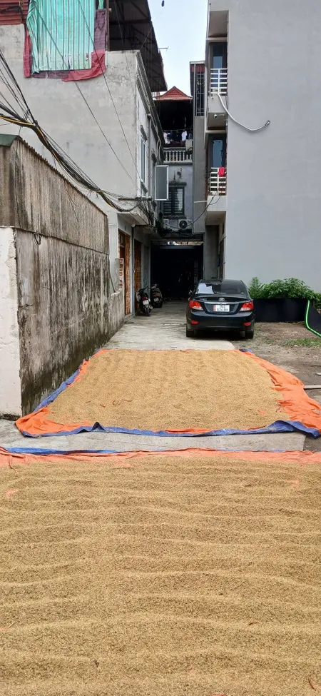 Bán đất 41m² ngang 4m giá 3.95 tỷ Xã Nam Phù