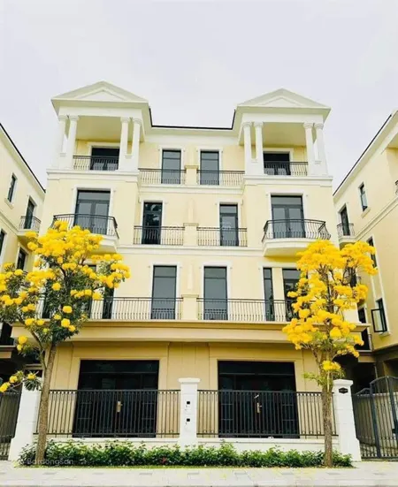 Bán gấp tứ lập đảo dừa 120m2 18.x tỷ đông nam vinhomes ocean park 02