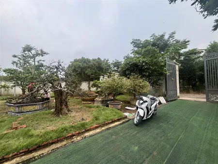 Đón đầu kcn biên hoà về kcn giang điền giá cho khách đầu tư ở hoặc phân lô tách thửa. 1000m2 đất