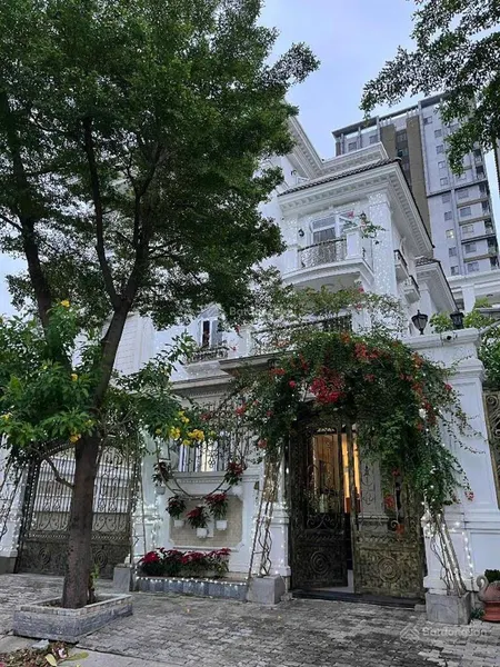 Bán bt, nguyễn thị thập, 47 tỷ, 220m2, hầm, 4 lầu, thang máy, q7, hcm
