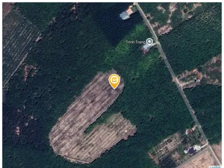 Bán đất 20000m² ngang 85m giá 7.5 tỷ Xã Tân Quan
