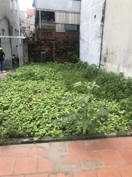 Bán đất phúc lợi, long biên 55m2, mặt tiền 6,3m, chỉ 15m ra ô tô tránh. giá đầu tư.