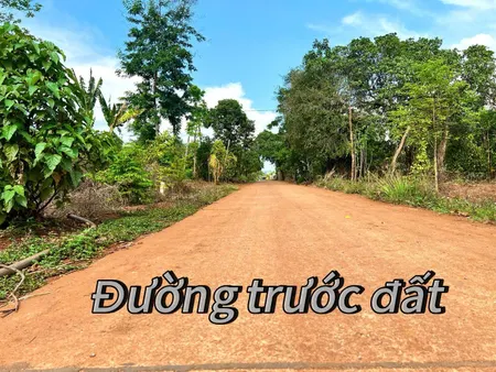 Bán đất 115m² ngang 6m giá 139 triệu Xã Ea Kueh cũ