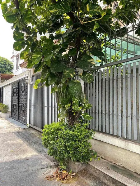 Biệt thự gần phố Tây Hồ – 120m đất vuông – sân vườn, gần hồ – chỉ 23 tỷ