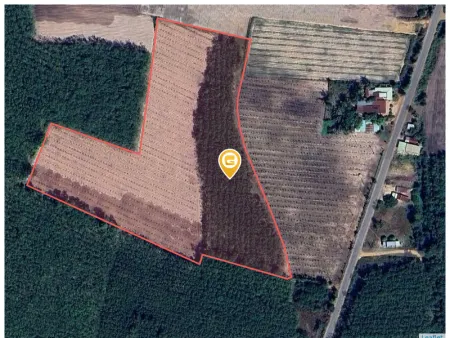 Bán đất 150m² ngang 5m giá 640 triệu Xã Thạnh Bình