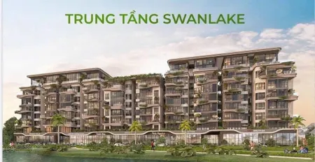 Ecopark vinh ra mắt căn hộ cao cấp swanlake view công viên hồ thiên nga 10ha