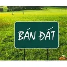 CHÍNH CHỦ CẦN BÁN MẢNH ĐẤT TẠI XÃ HƯNG PHÚ,  TỈNH HƯNG YÊN