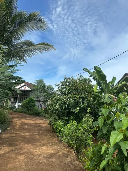 Bán đất 2205.7m² ngang 80m giá 1.05 tỷ Xã Hòa Phú