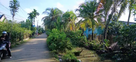 2 CĂN NHÀ liền kề. Đường Bà Tư Gạo vào 20m. Cách đường Một Quang 250m.  Phước Thạnh, Mỹ Tho.