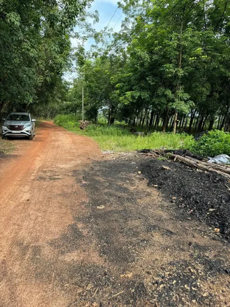 Bán lô đất vườn, có thổ cư 300m2 Định An, Dầu Tiếng, TP hồ chí minh