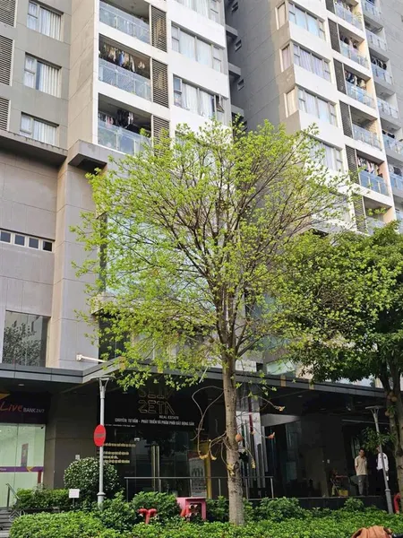 Bán căn hộ la casa hoàng quốc việt,q7,dt 86 m2 ,2 pn,2wc,sổ hồng,có nt giá 4,4 ty chốt 0965 004 ***