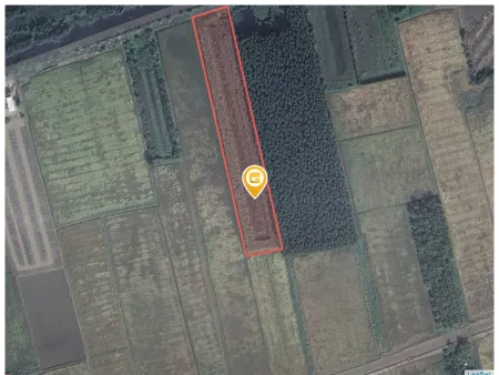 Bán đất 8115.3m² ngang 125m giá 1.2 tỷ Xã Mỹ Tú