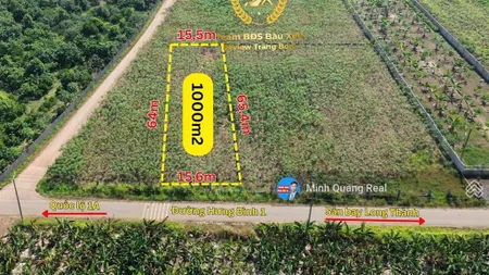 Bán đất hưng thịnh đường hưng bình 1, 1002m2, đất bằng phẳng vuông vức, mặt tiền rộng 15m