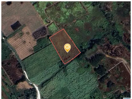Bán đất 6992m² ngang 60m giá 4.9 tỷ Xã Đại Phước