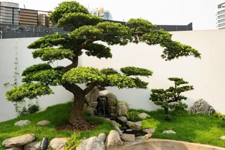 Biệt thự đơn lập kđt văn phú 255m, đường to, gara ô tô, sổ đỏ chính chủ, giá 41 tỷ
