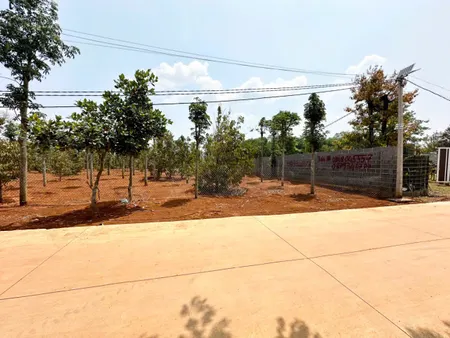 Bán đất 201.2m² ngang 5m giá 1.35 tỷ Phường Tân An
