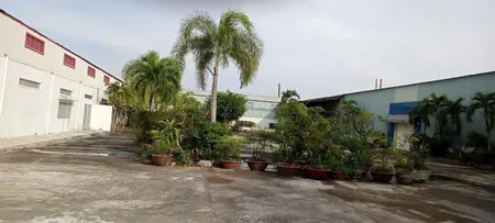 Ngộp!! Xưởng 13.859m2 có 9859m2 SKC, xây dựng 3586m2, mặt tiền Nguyễn Thông, Hiệp Thạnh, Châu Thành, Long An