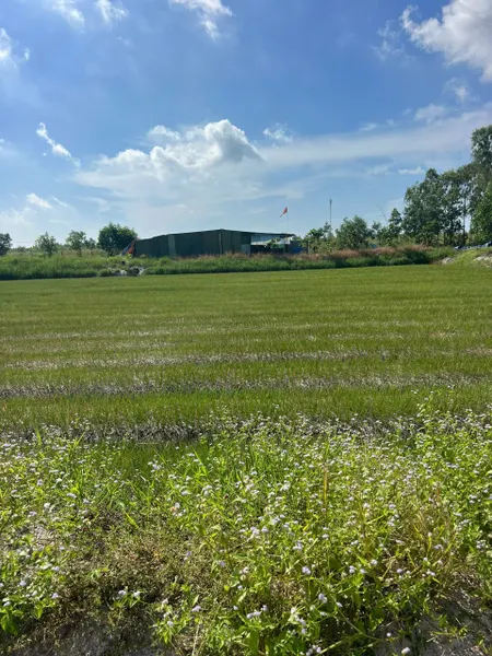 ĐẤT ĐẸP - GIÁ TỐT - Bán GẤP Lô Đất Tiềm Năng Tại Xã Thắng Hải Hàm Tân Bình Thuận(cũ)