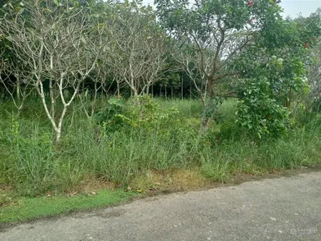 Không có lô thứ hai 3136m2, giá chỉ 3,5 tỷ
