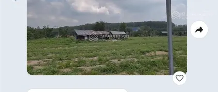 Bán đất tại đường 746, tân định, bắc tân uyên, bình dương, 8 tỷ, 11000 m2