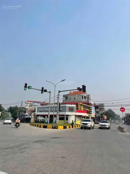Hàng tuyệt chủng lô đất hiếm tại yên lịch (xã việt tiến mới) khoái châu, hưng yên