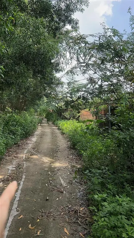Mảnh đất tại kim long vĩnh phúc, lý tưởng làm homestay chỉ cách vĩnh yên hơn 10 phút đi xe