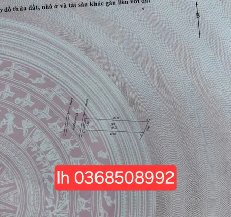 Bán đất 133m² ngang 5m giá 4.85 tỷ Xã Kim Anh