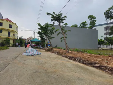 Đất đấu giá Tân Ngọc - Bá Hiến - Bình Xuyên (cũ)