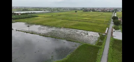 Đất sản xuất kinh doanh