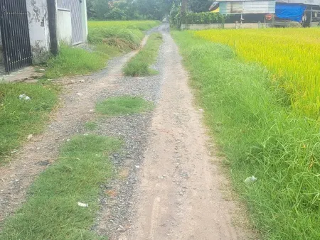 Bán đất 1573.5m² ngang 6m giá 1.15 tỷ Xã Hòa Khánh