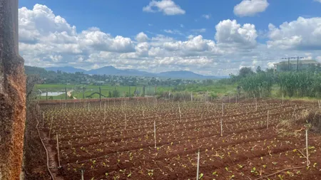 💥 Đất mặt tiền Bùi Viện View ruộng