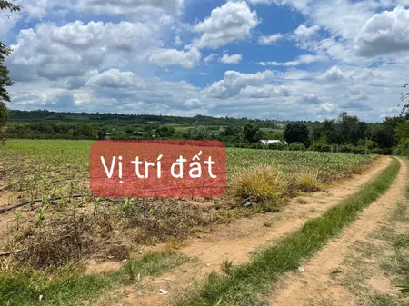 Đất thổ cư 2 mặt tiền Xuân Phú, EaKar 1305.3m² ngang 33m giá 399 triệu Xã Ea Kar