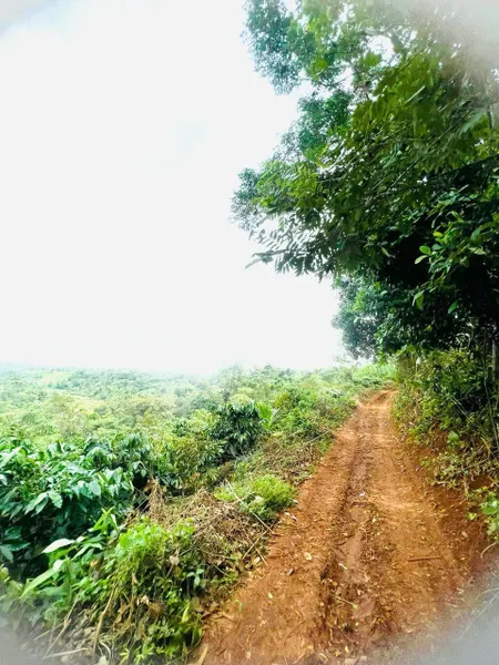 Bán đất View Thác cực đẹp 1000m² ngang 10m giá 109 triệu Xã Ea Tul