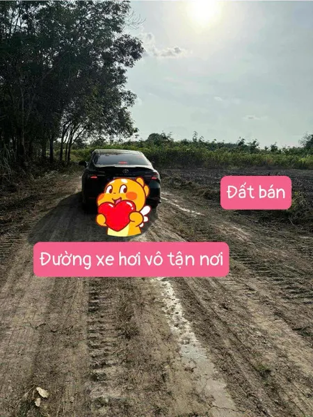Bán đất Quy Hoạch Full Hồng 150m² ngang 5m giá 109 triệu Xã Thạnh Bình